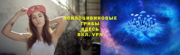 spice Приозерск