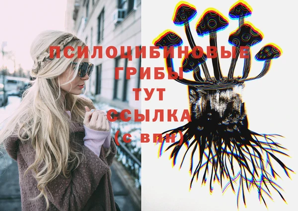 мескалин Пролетарск