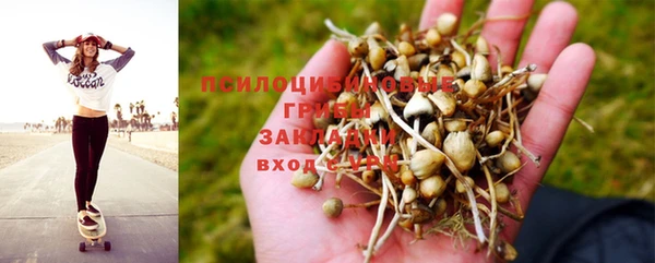 прущая мука Протвино