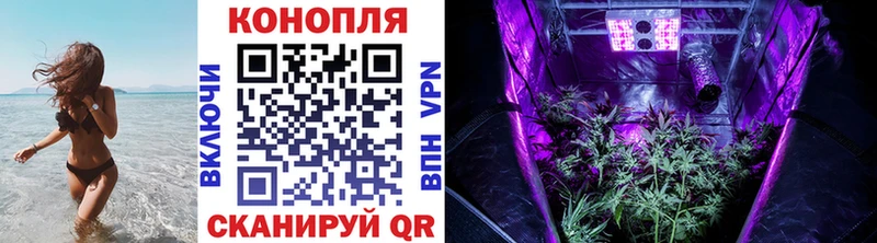 Каннабис ГИДРОПОН  купить наркоту  Светогорск 